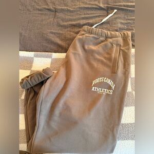Roots Brown Skinny Pants